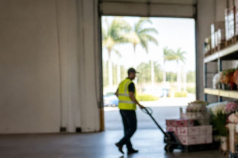 A warehouse associate in a hi-vis vest pulling a pallet jack of flower crates past an open bay door framed by palms