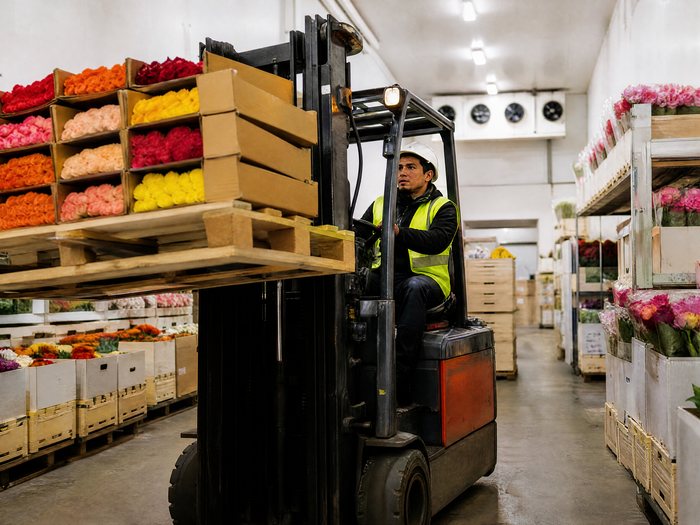 A forklift operator in a hi-vis vest and hard hat lifting a pallet of flower boxes in a cold-store aisle